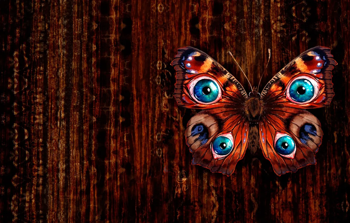 Фото обои бабочка, рисунок, текстура, арт, Diana Shutka