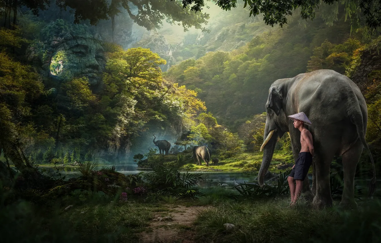 Фото обои лес, мальчик, джунгли, слоны