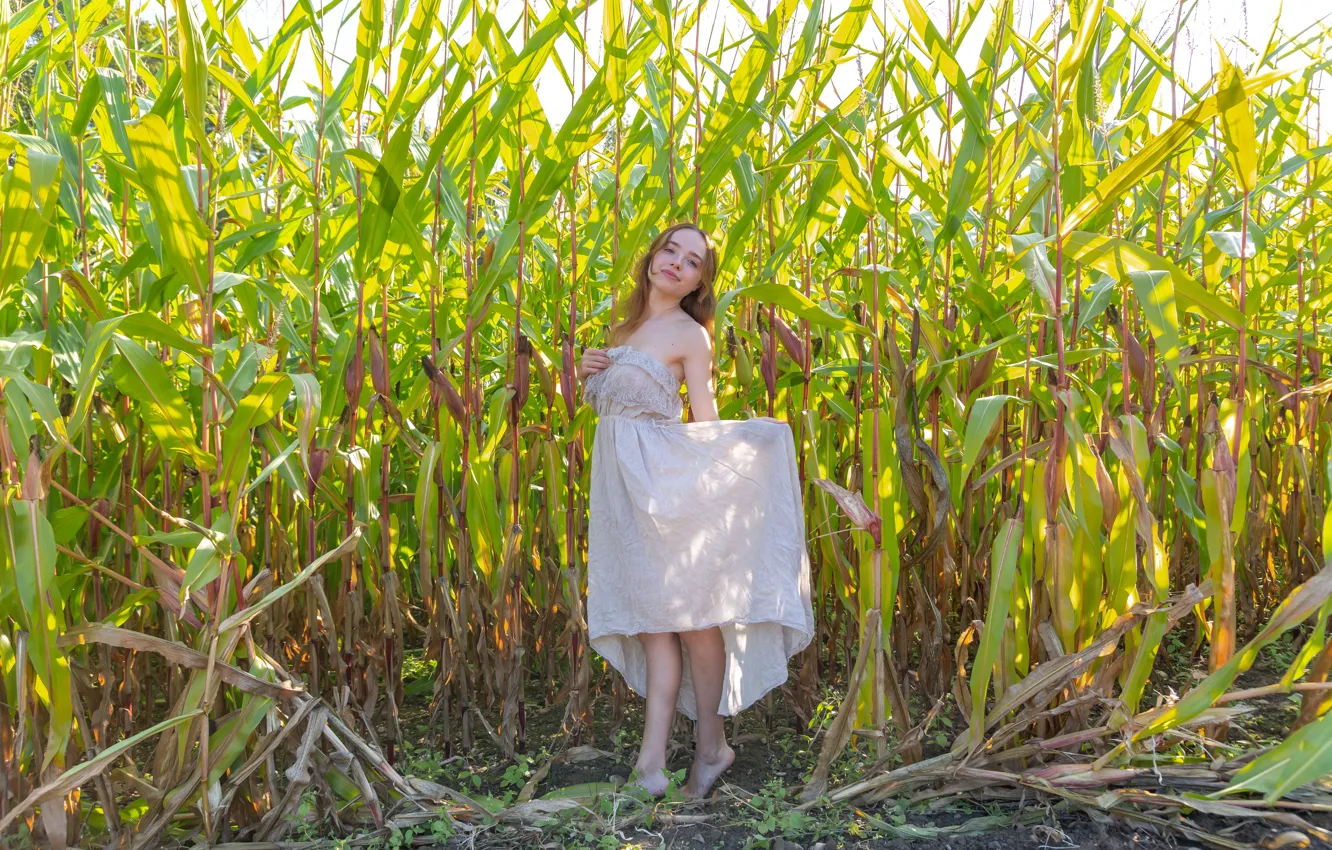 Фото обои red hair, long hair, field, nature, model, sexy woman, countryside, photoshoot