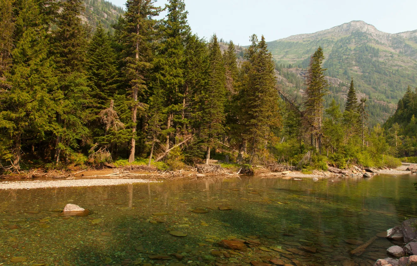 Фото обои лес, деревья, горы, ручей, камни, США, Glacier National Park