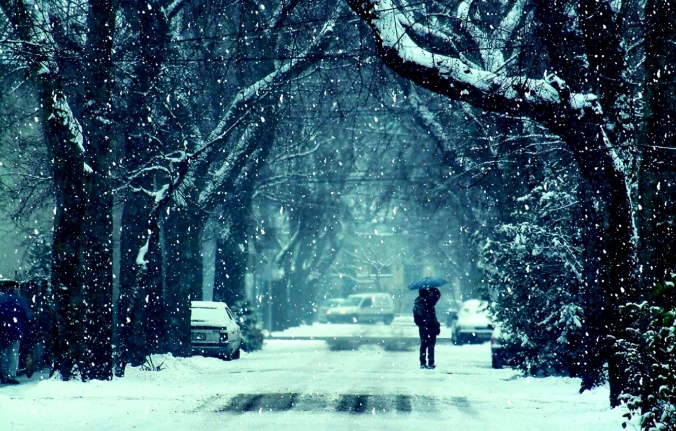 Фото обои дорога, девушка, снег, деревья, фото, фон, настроение, обои