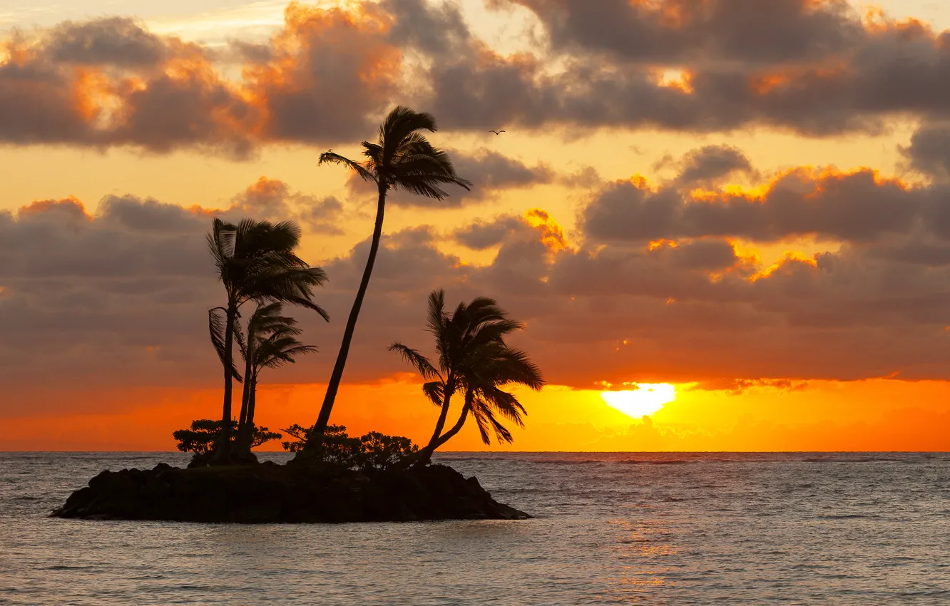 Фото обои море, небо, солнце, закат, тучи, пальмы, остров