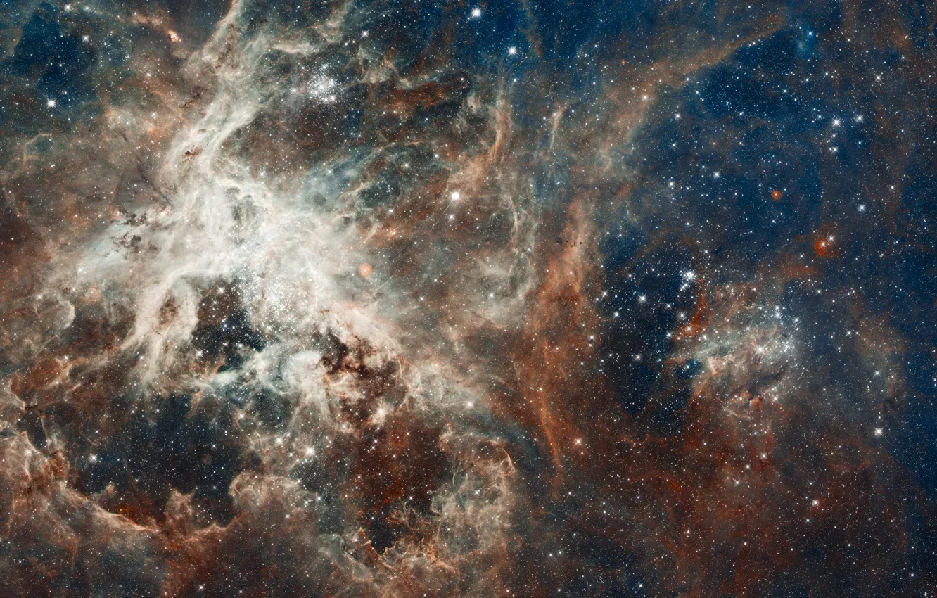 Фото обои туманность, созвездие, Золотая Рыба, Тарантул, NGC 2070