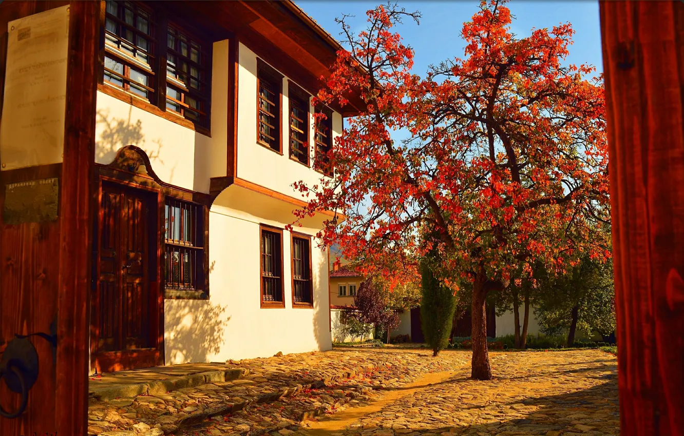 Фото обои Дерево, Осень, Дом, Fall, Autumn, Colors, Двор