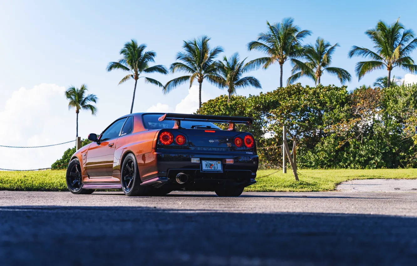 Фото обои GT-R, Rear view, R34, Palm trees, V-Spec