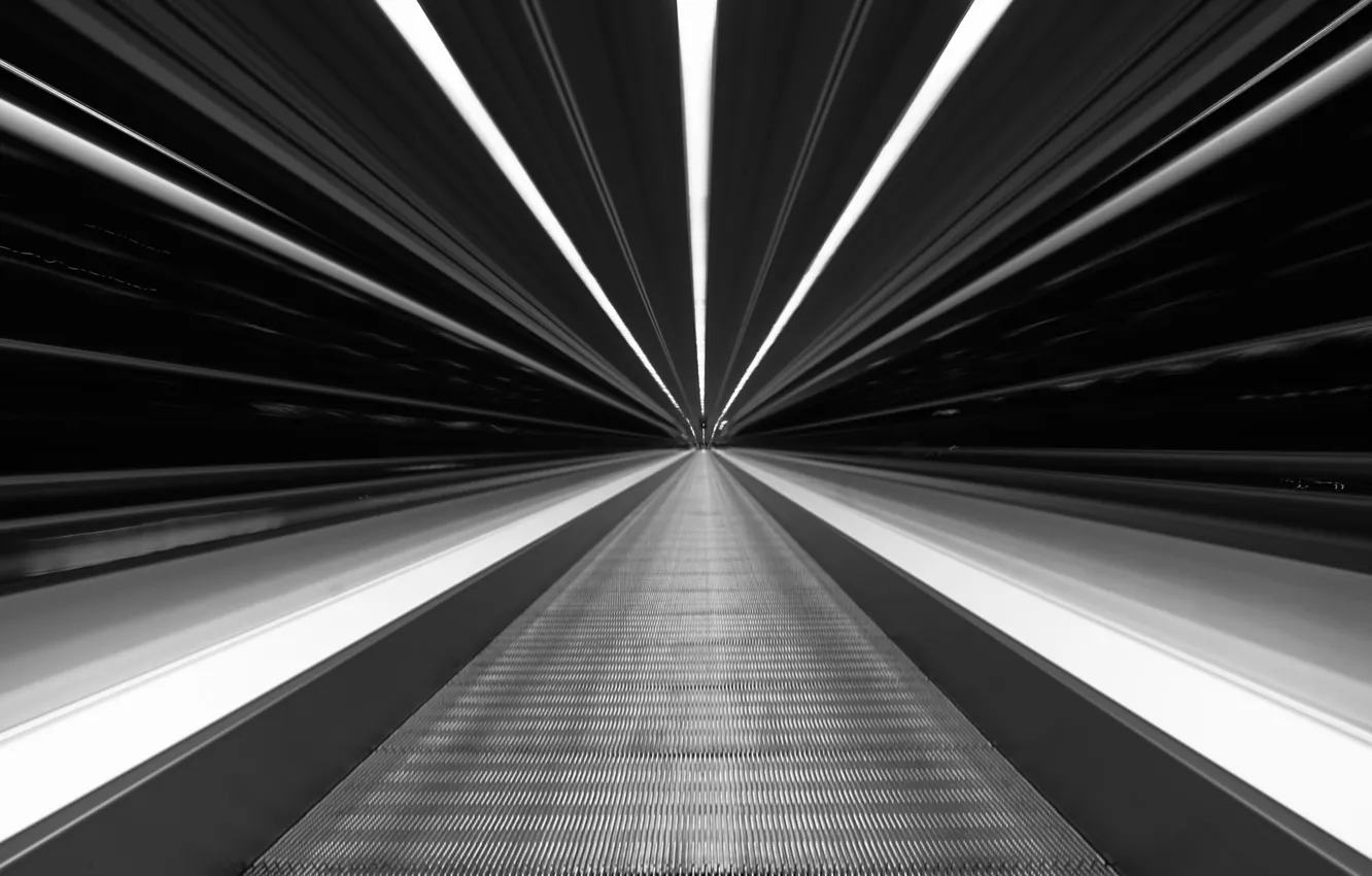Фото обои свет, мост, скорость, чёрно-белый