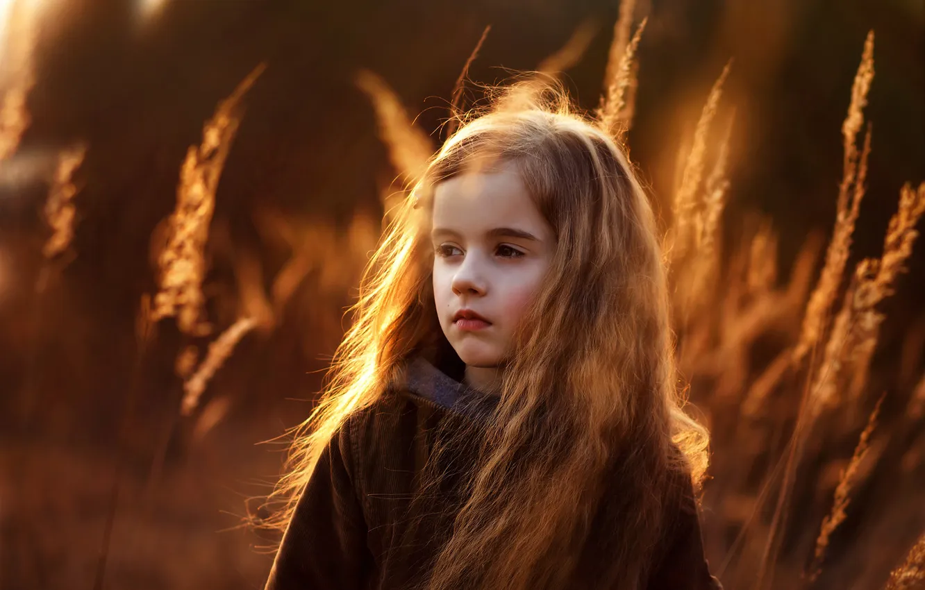 Фото обои трава, закат, природа, дети, девочка