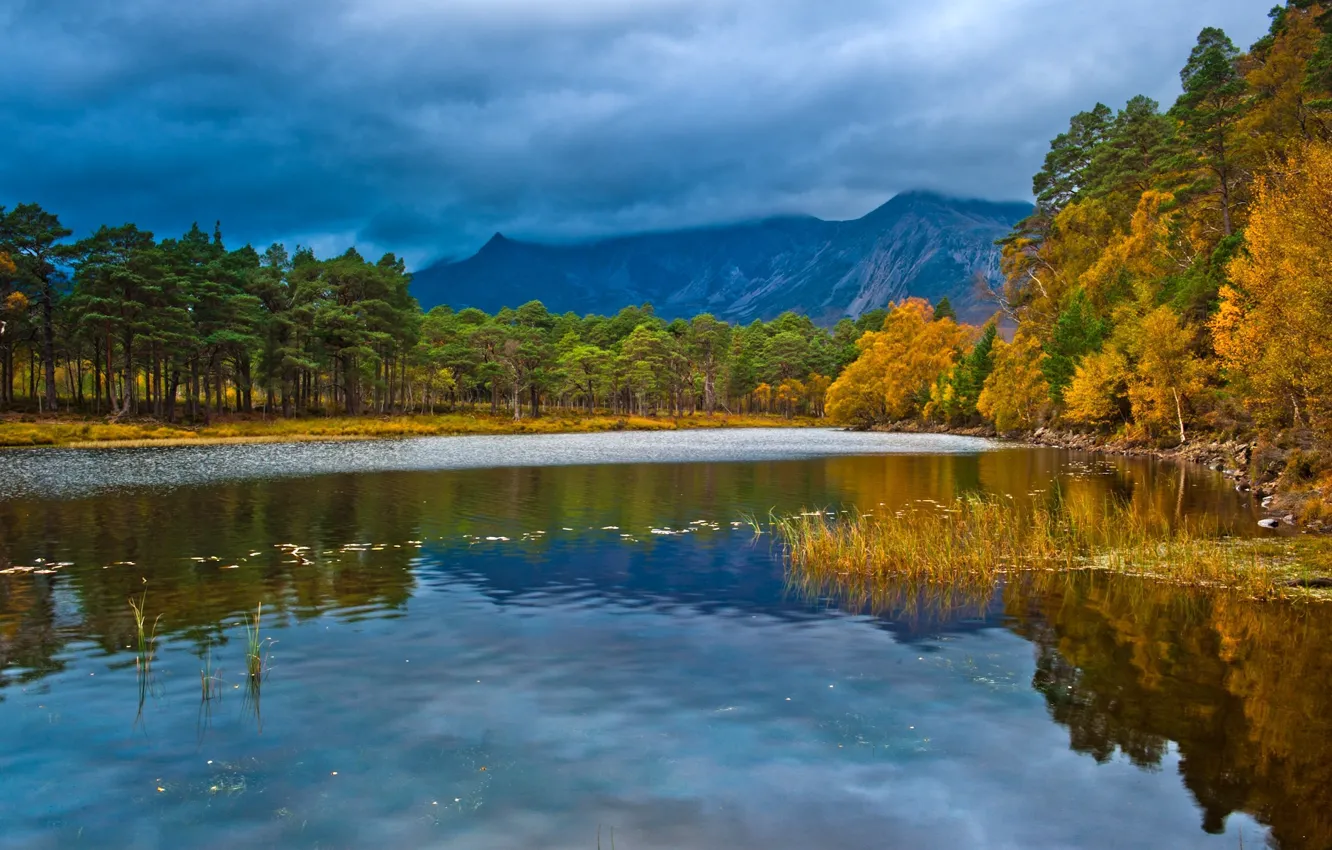 Фото обои осень, лес, пейзаж, озеро, Scotland, England, loch Clair