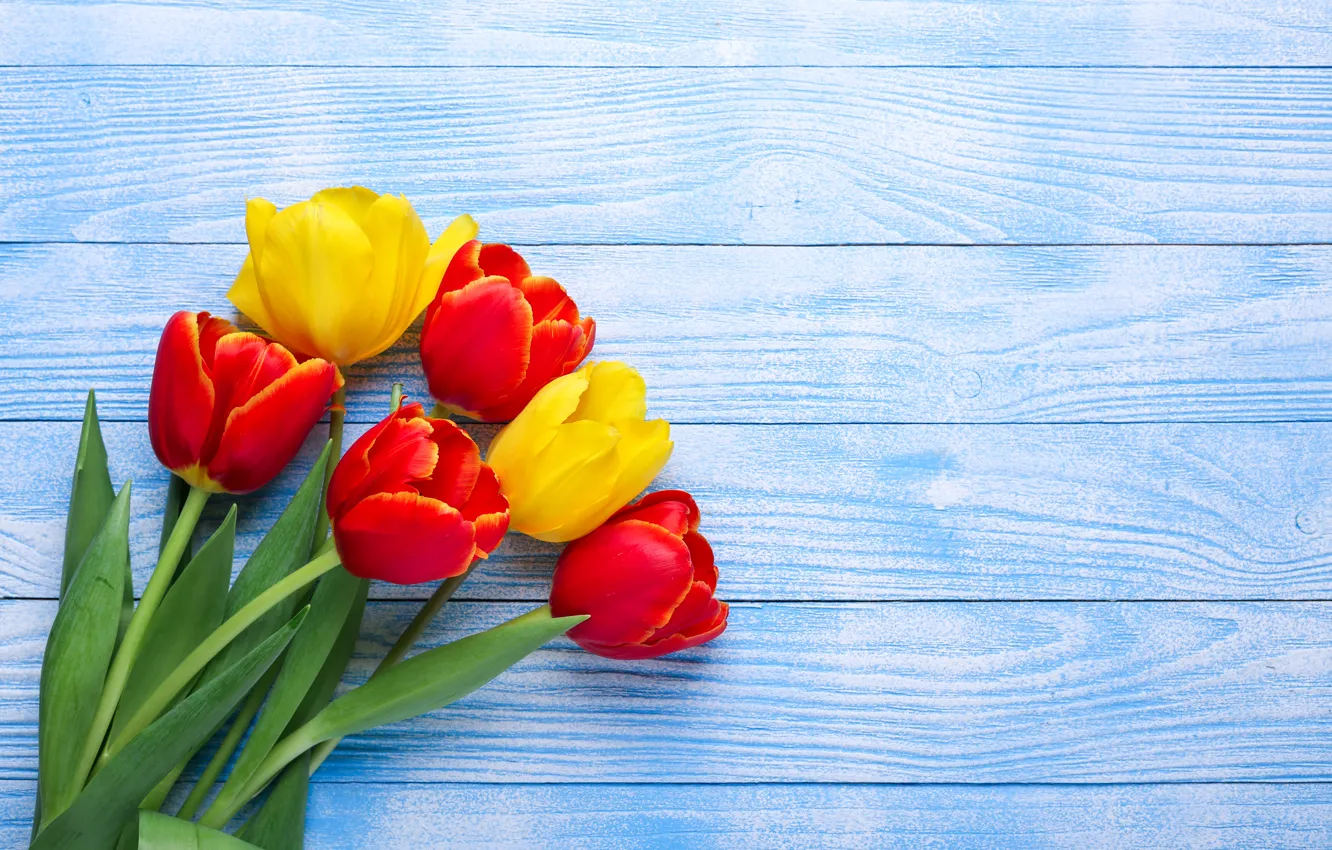 Фото обои цветы, желтые, тюльпаны, красные, red, yellow, wood, flowers