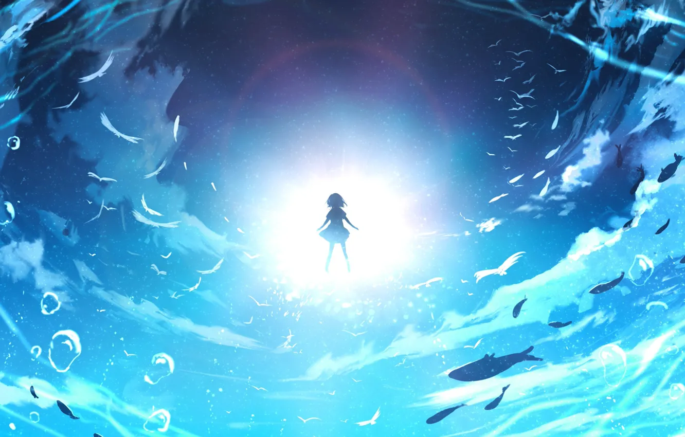 Фото обои небо, девушка, свет, рыбы, под водой, by jw