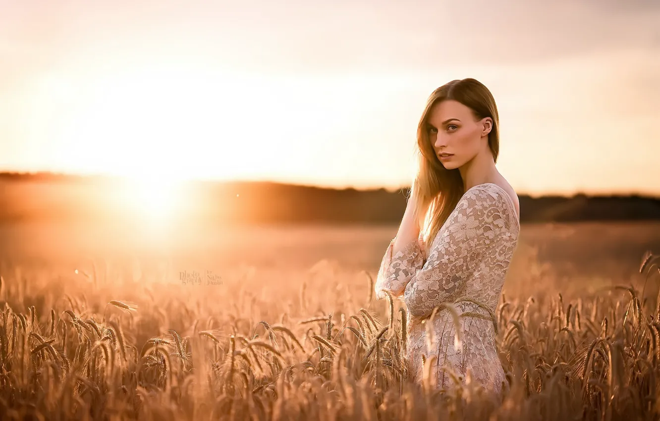 Фото обои поле, девушка, закат, колосья