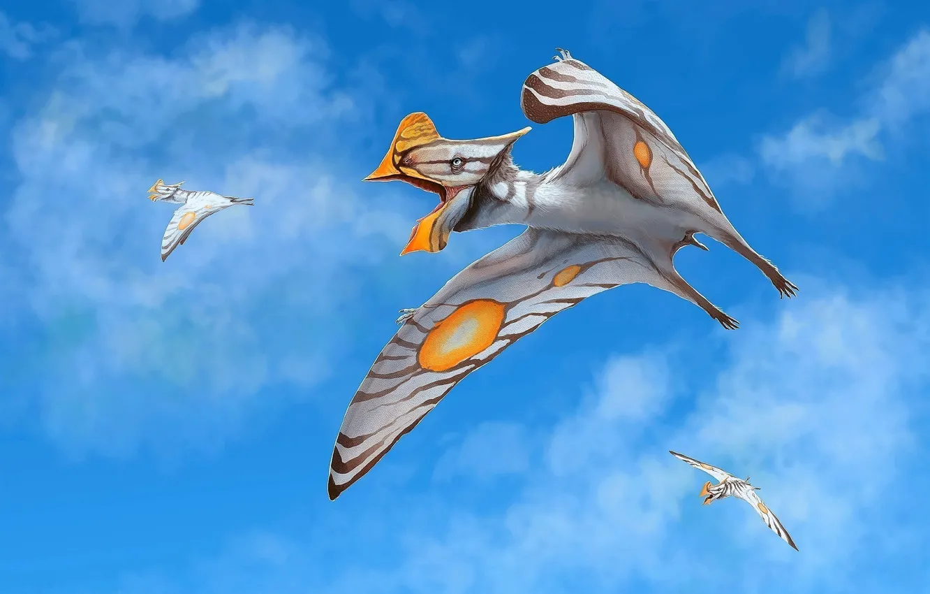 Фото обои clouds, sky blue, dinosaur, extinction, Flying animals