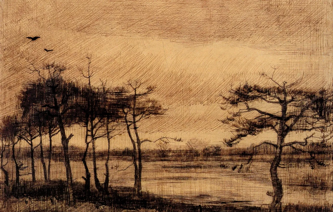 Фото обои деревья, птица, Vincent van Gogh, Pine Trees in the Fen