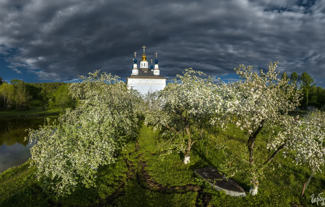 Фото обои вода, облака, пейзаж, природа, весна, сад, храм, цветение