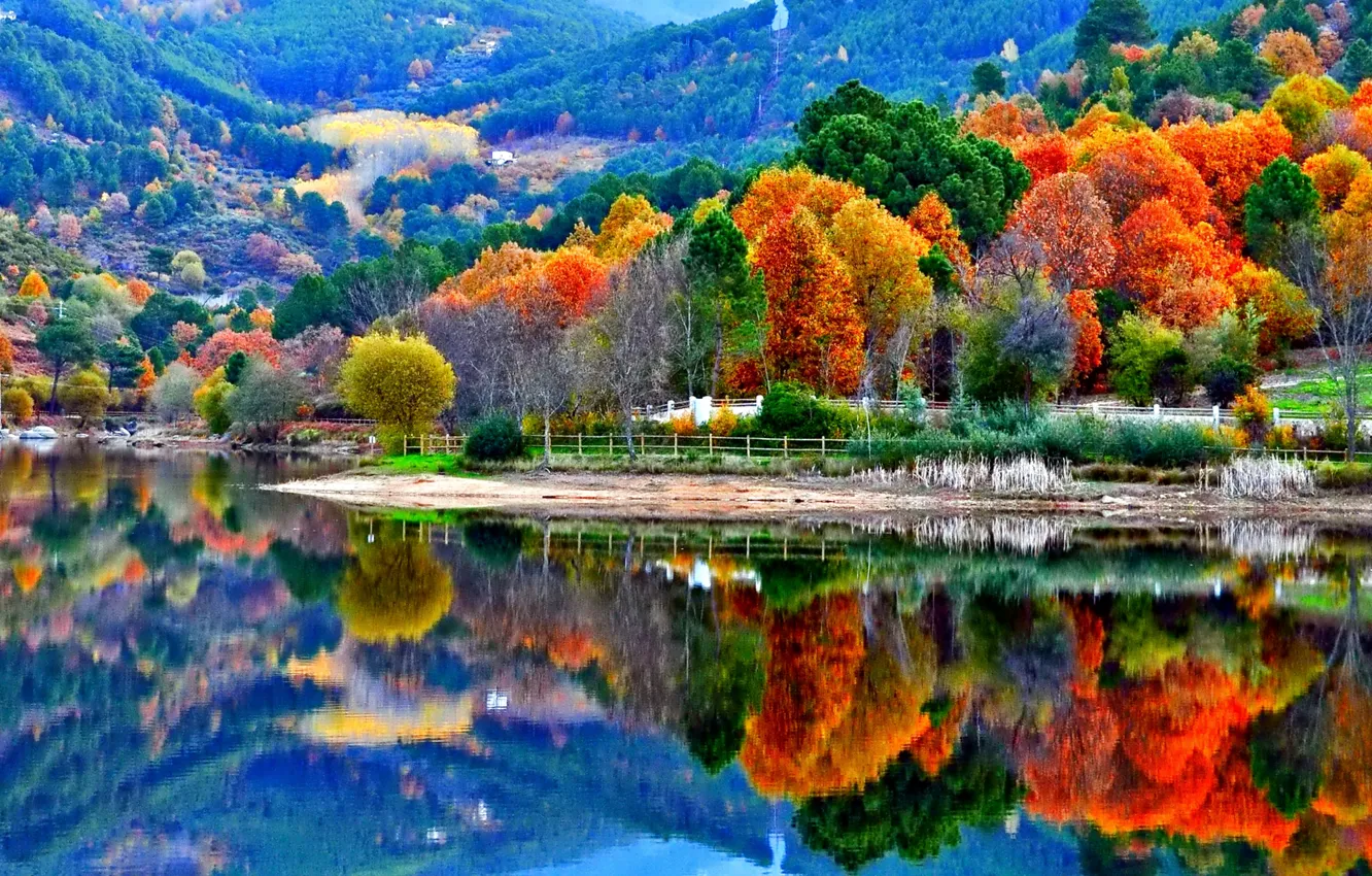 Фото обои осень, деревья, горы, озеро, склон