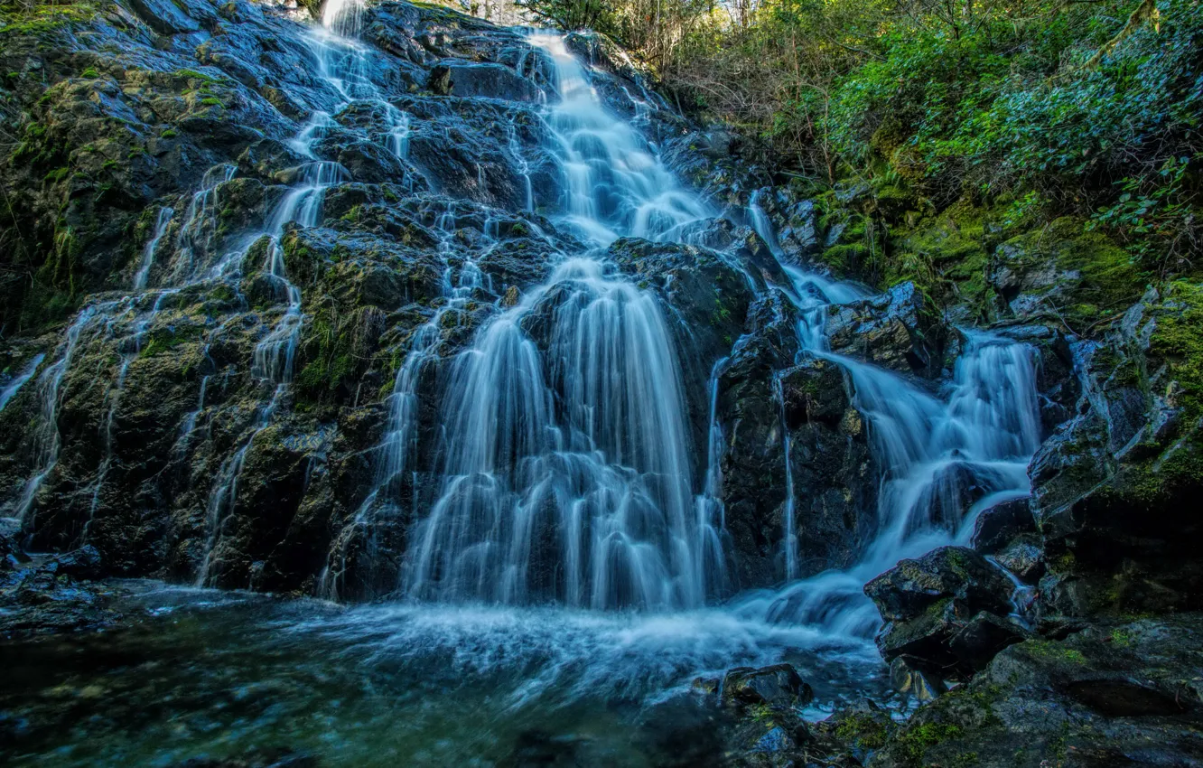 Фото обои водопад, Канада, Vancouver, Peden Lake, Mary Vine Creek