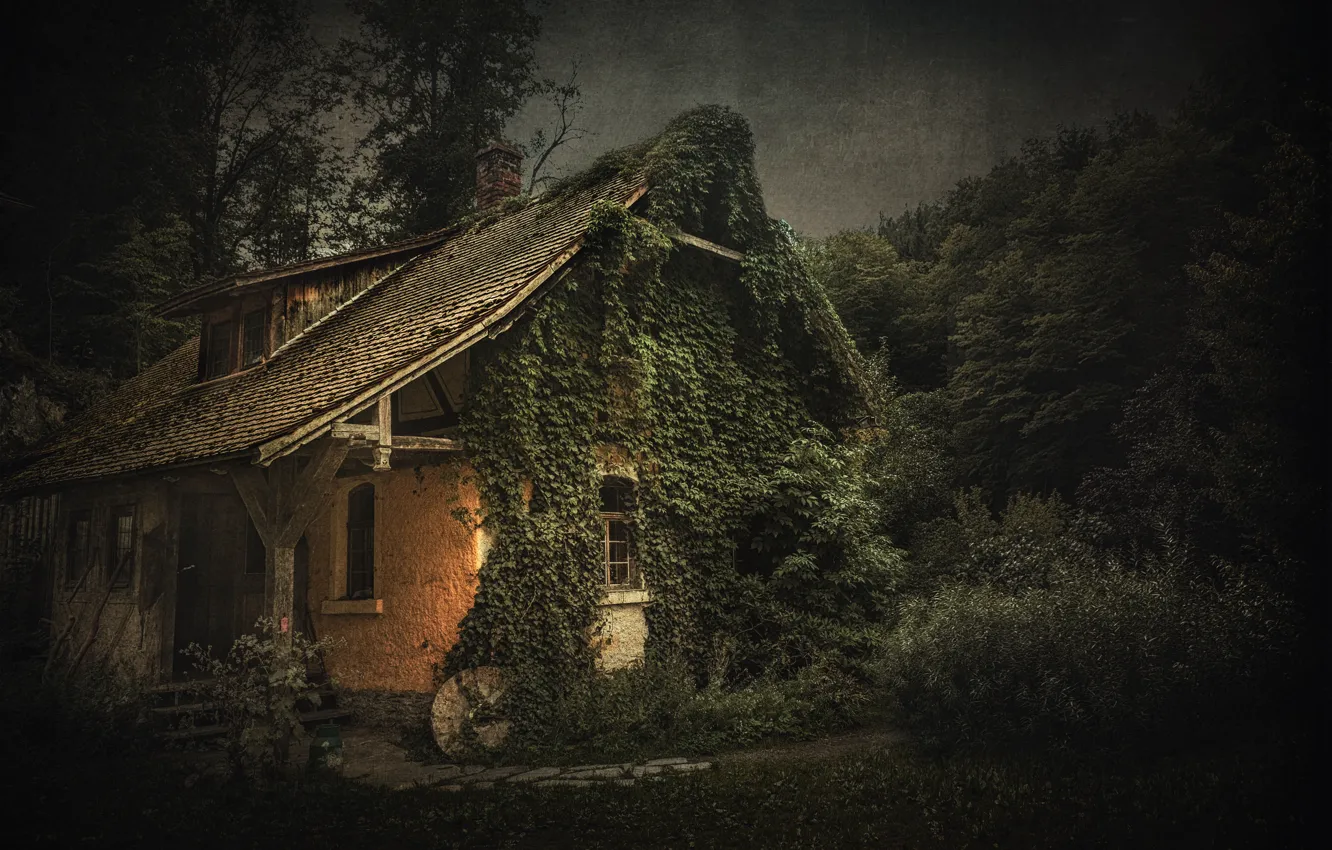 Фото обои природа, сумерки, старый дом, плющ