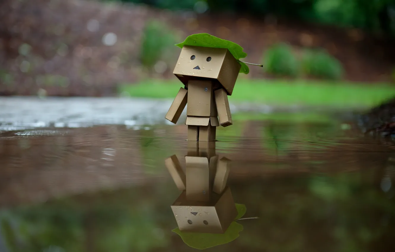Фото обои вода, лист, отражение, дождь, коробка, Danbo, amazon, коробок