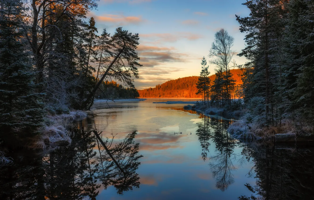 Фото обои лес, вода, снег, деревья, закат, отражение, река, вечер
