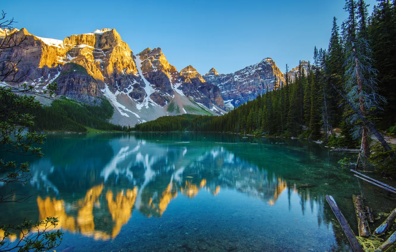 Фото обои лес, горы, озеро, отражение, утро