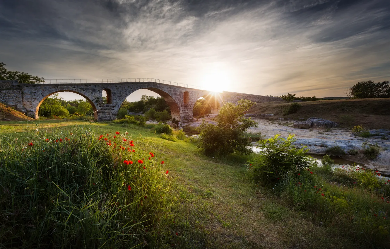 Фото обои солнце, лучи, цветы, мост, река, маки, поток, клумба