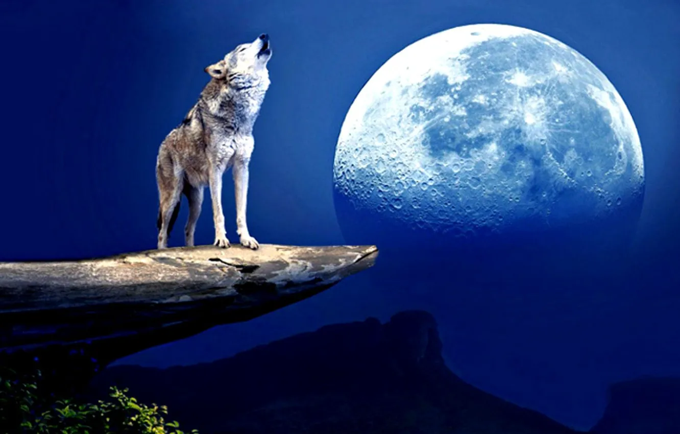 Фото обои moon, fantasy, art, wolf