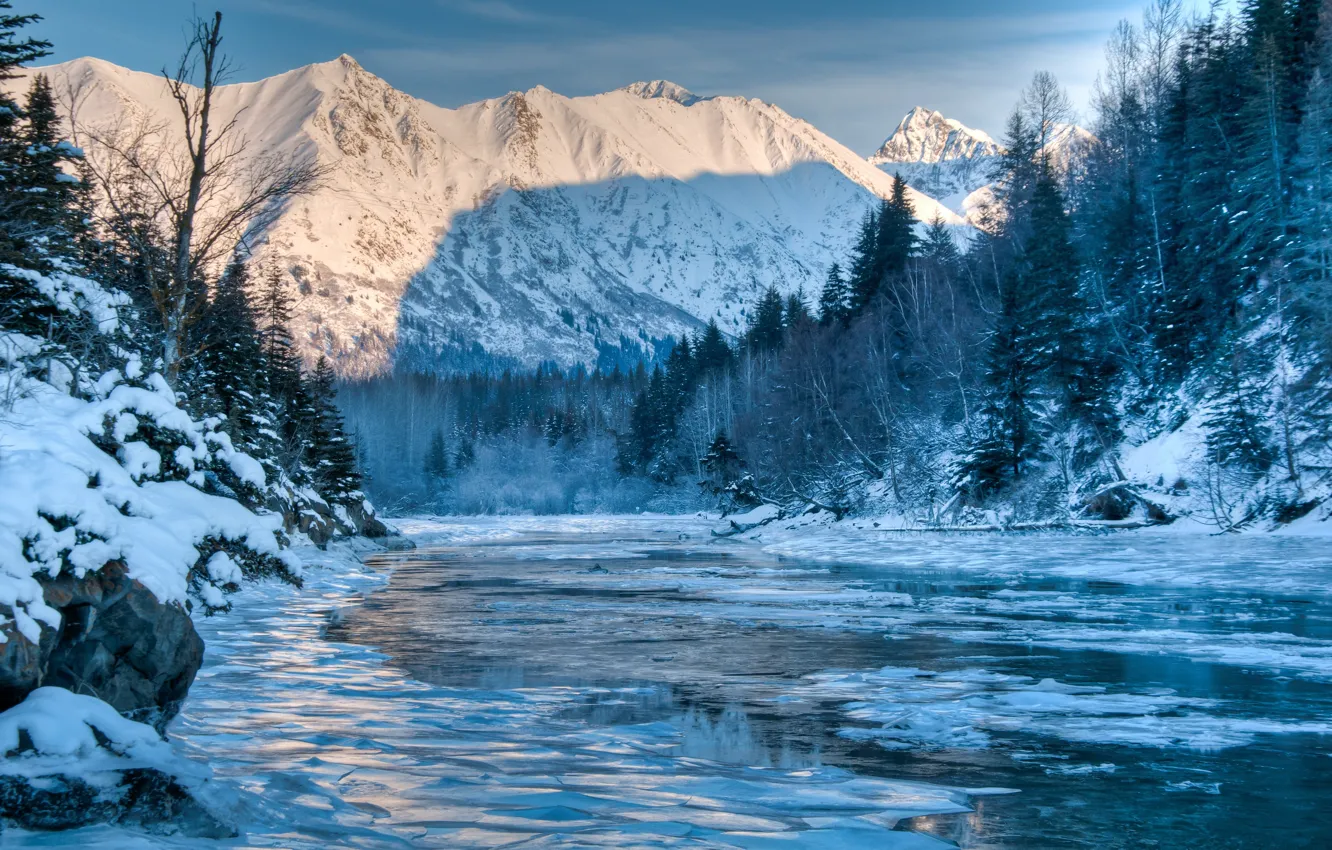 Фото обои зима, лес, пейзаж, горы, природа, река, Alaska