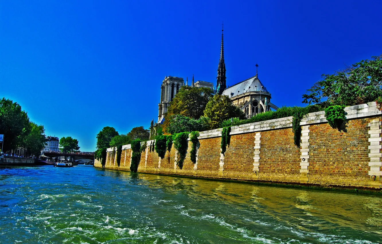 Фото обои деревья, мост, река, Франция, Париж, Сена, собор парижской богоматери