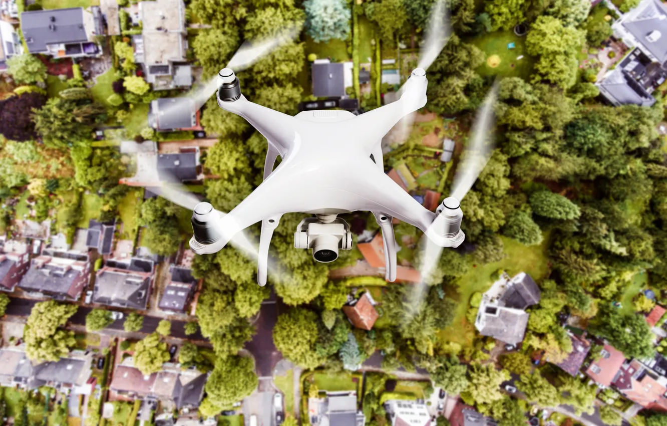 Фото обои white, trees, drones