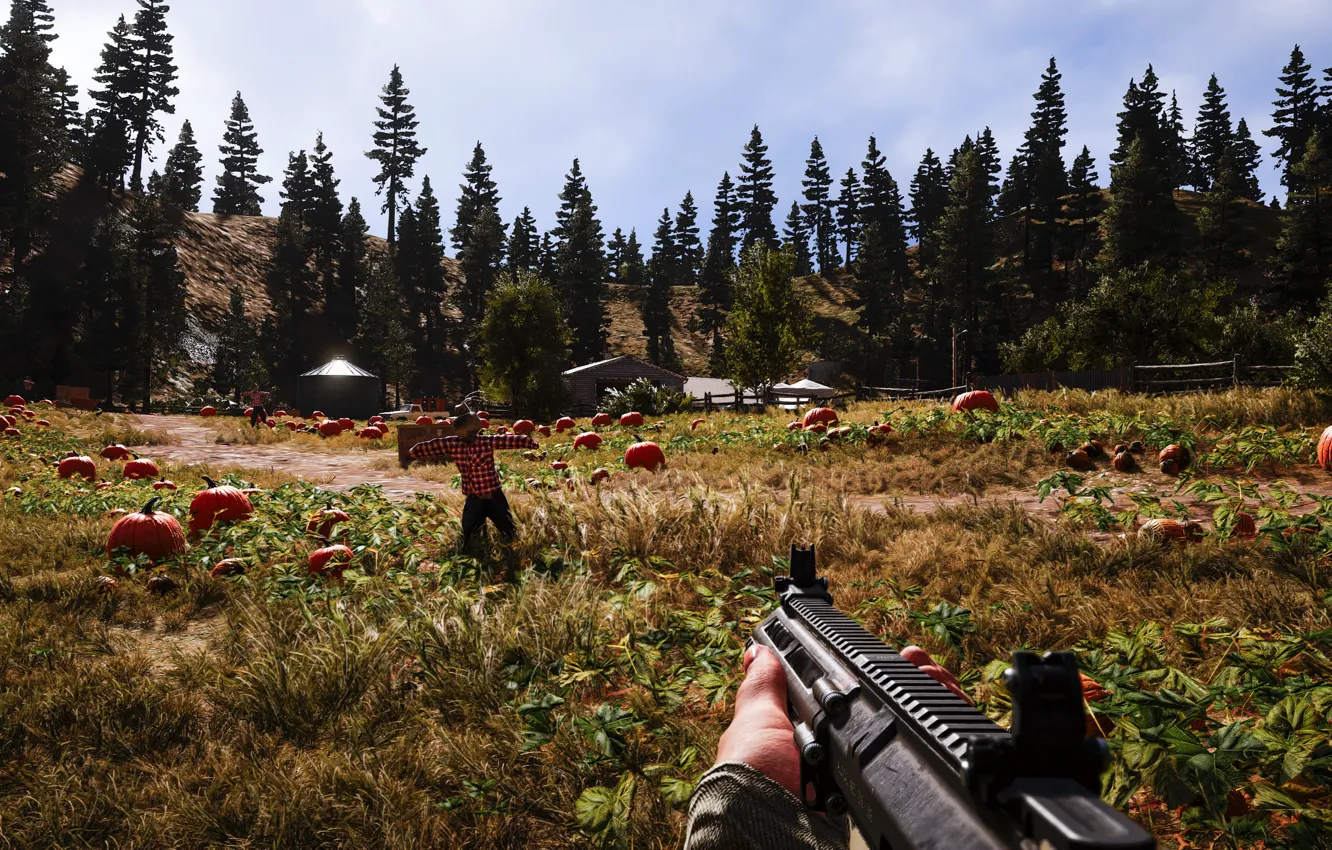 Фото обои оружие, игра, Far Cry 5