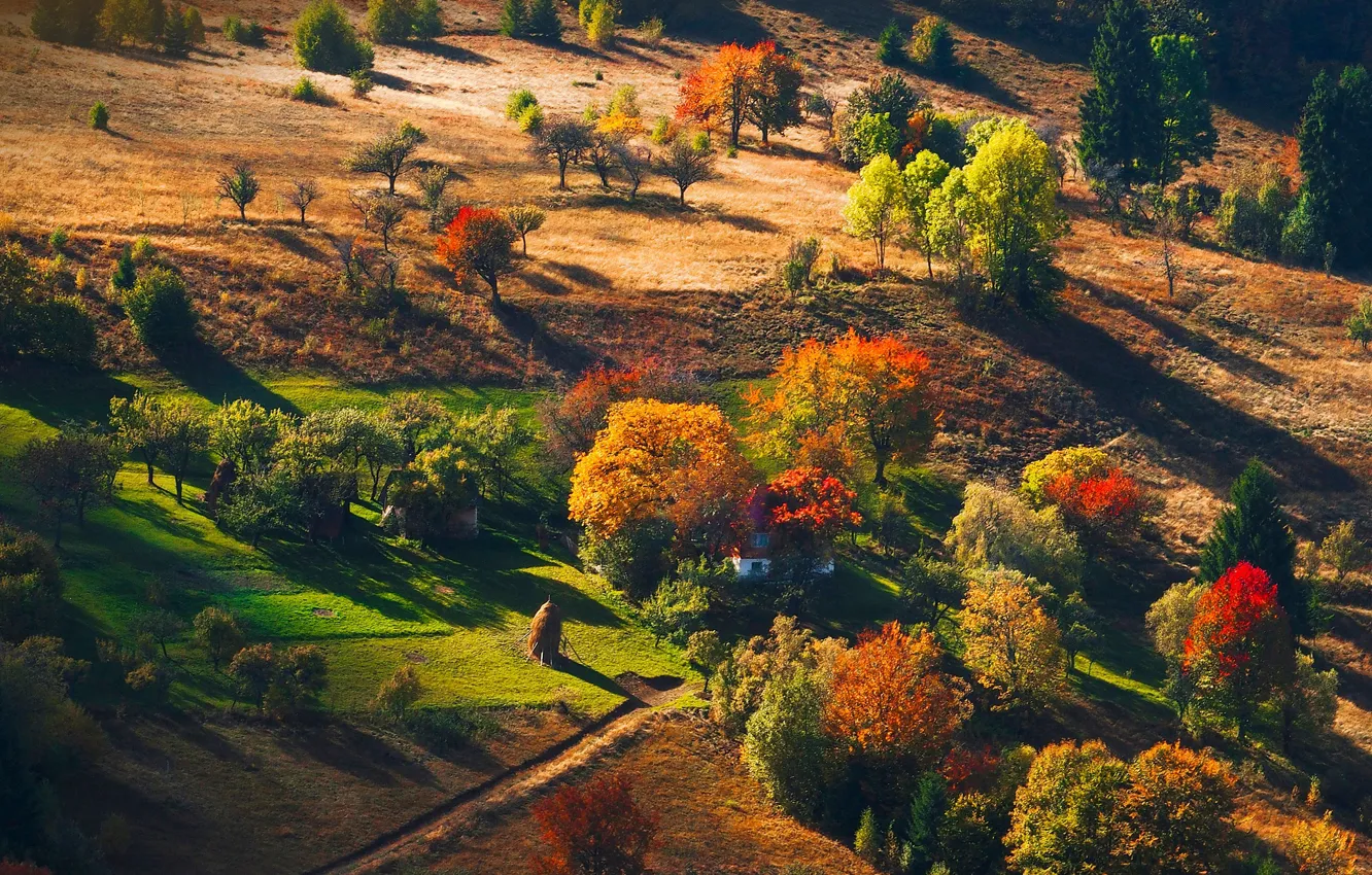 Фото обои осень, лес, деревья, горы, природа, хатка