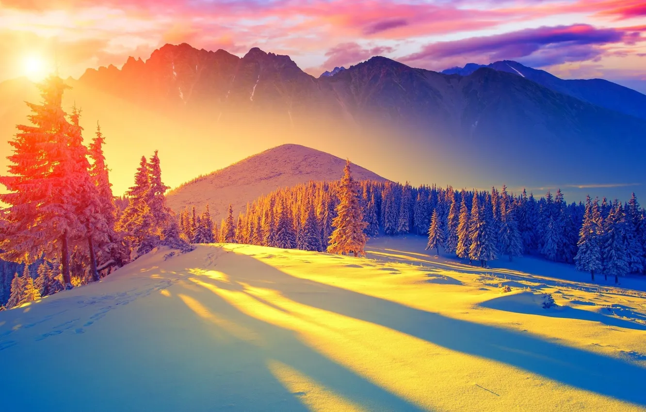 Фото обои зима, лес, снег, горы, Рассвет