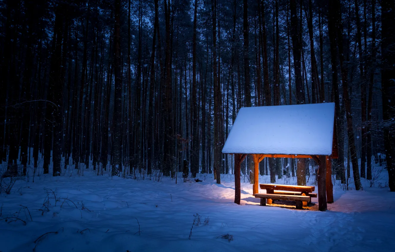 Фото обои зима, лес, свет, снег, деревья, скамейка, снежинки, следы