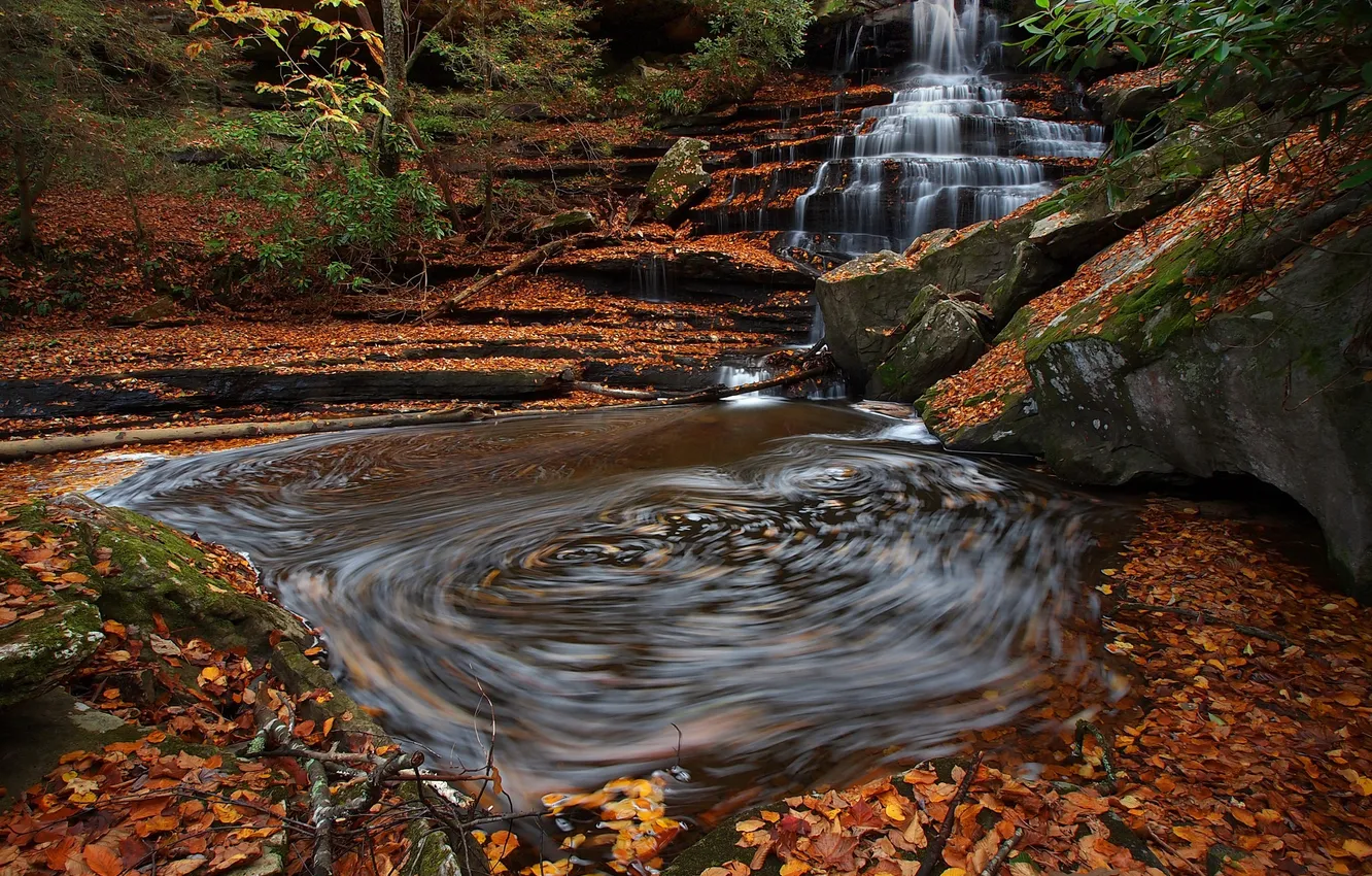 Фото обои осень, листья, природа, водопад
