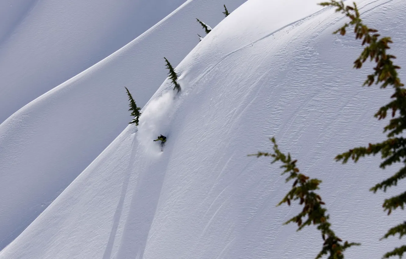 Фото обои зима, снег, горы, сноуборд, спуск, елки, скорость, адреналин