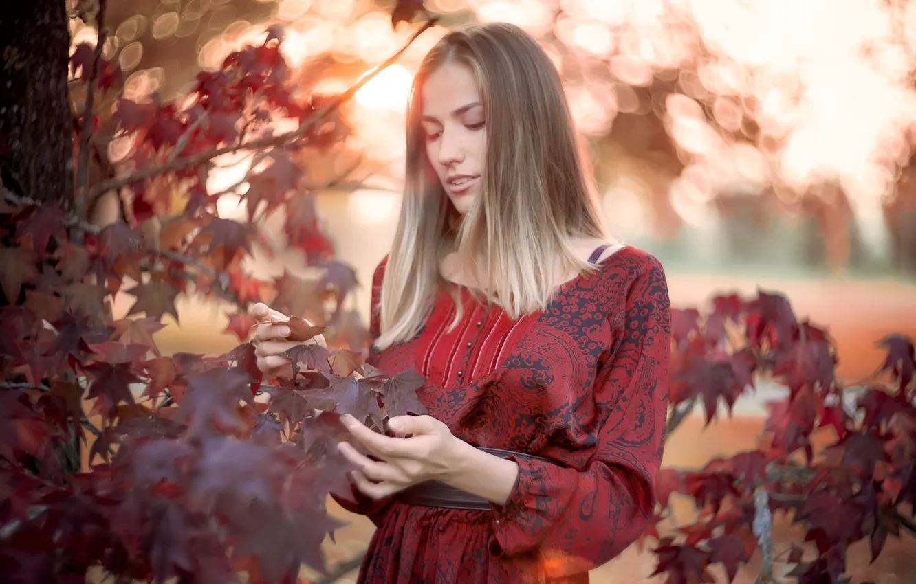 Фото обои осень, девушка, природа, Natalia