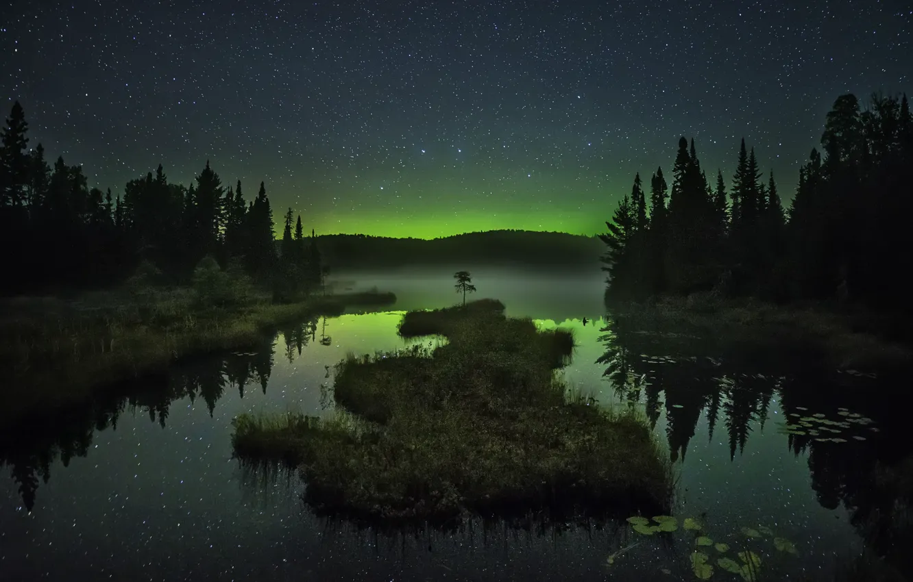 Фото обои небо, звезды, деревья, горы, ночь, туман, озеро, отражение
