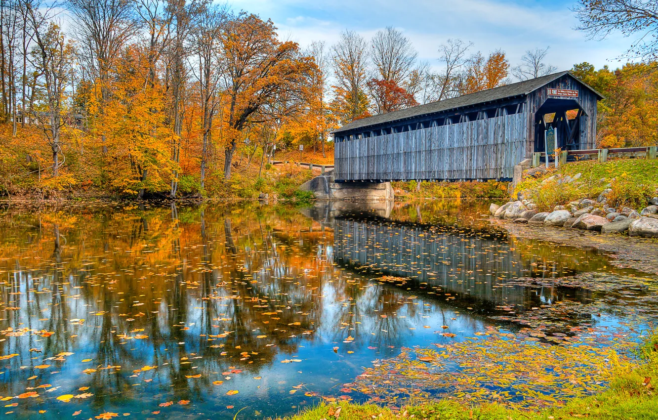 Фото обои осень, мост, природа, река