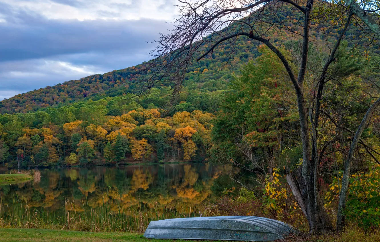 Фото обои осень, лес, деревья, горы, озеро, берег, лодка, США