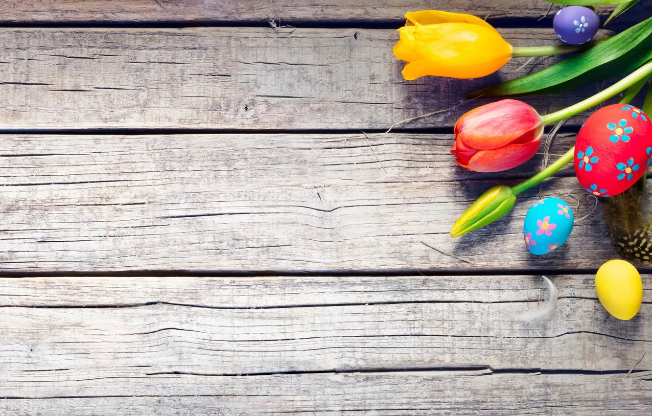 Фото обои цветы, яйца, весна, colorful, Пасха, happy, wood, flowers
