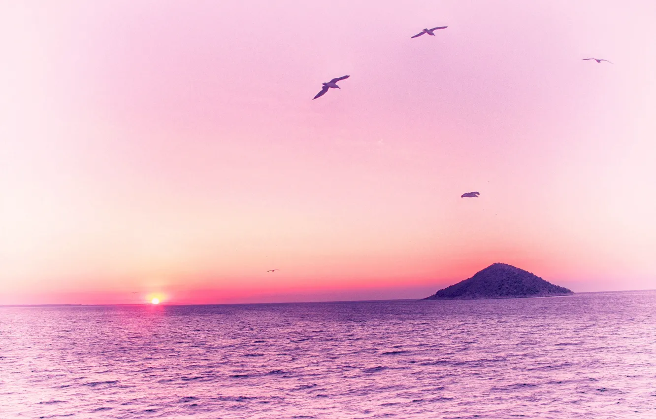 Фото обои море, птицы, розовый, рассвет, остров