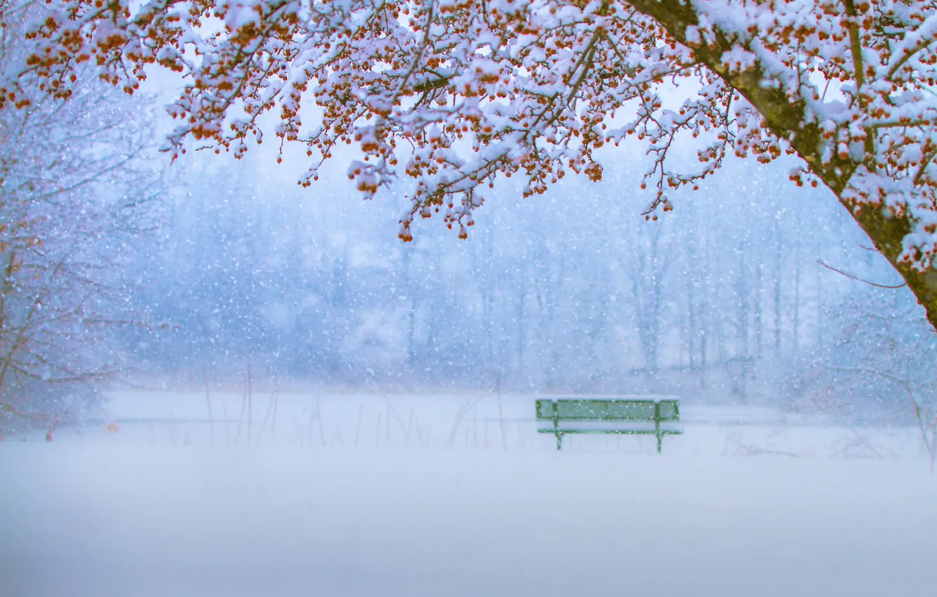 Фото обои зима, снег, деревья, скамейка, парк, снегопад
