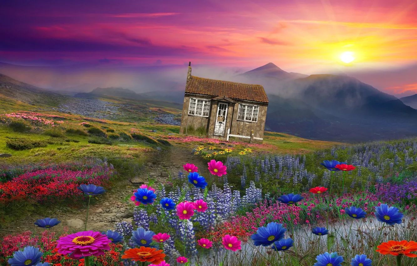 Фото обои солнце, пейзаж, цветы, горы, дом