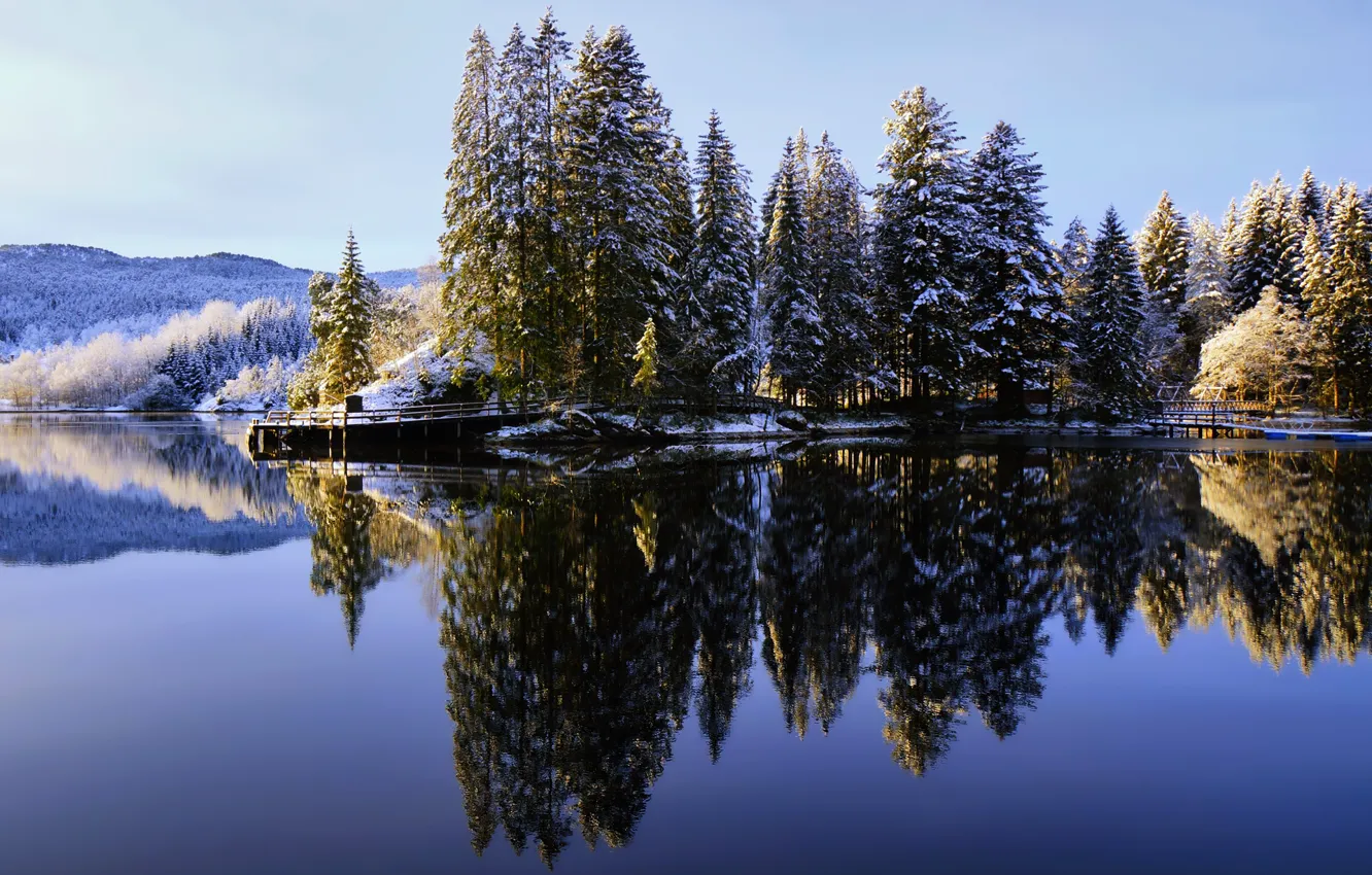 Фото обои зима, лес, небо, природа, озеро, отражение