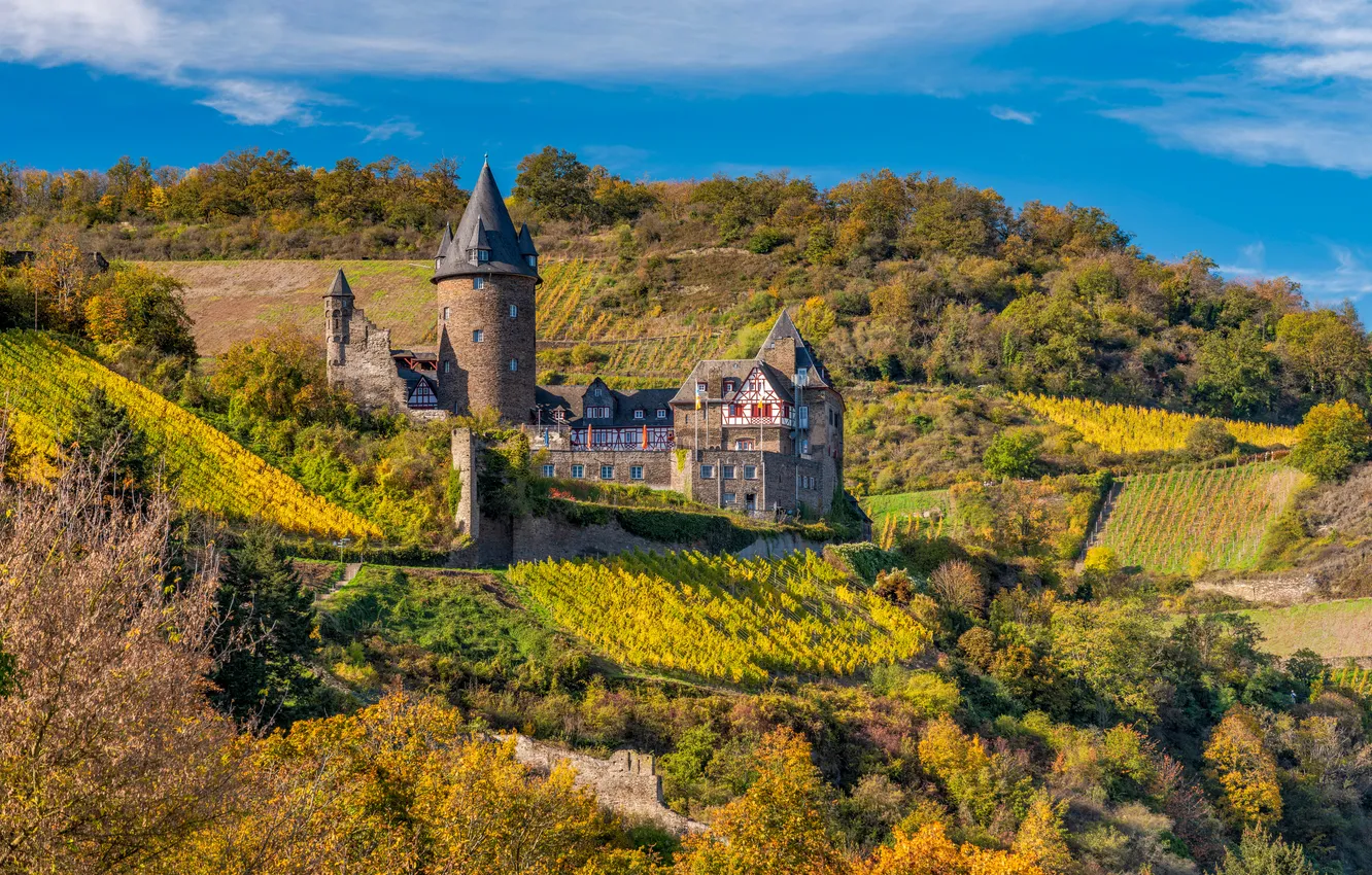 Фото обои Башня, Осень, Германия, Виноградник, Замки, Bacharach