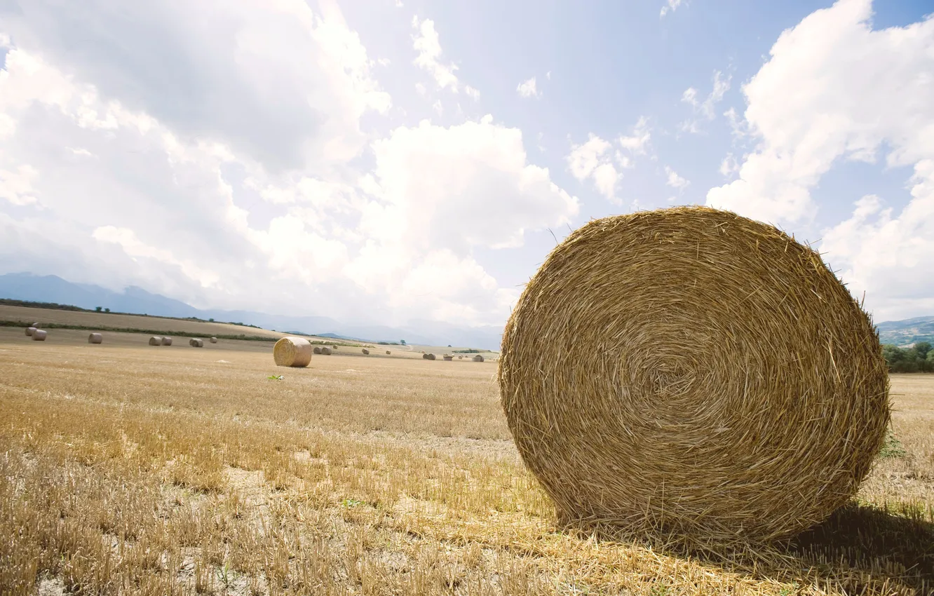 Фото обои поле, пейзаж, стог, горизонт, сено, Field, expanse