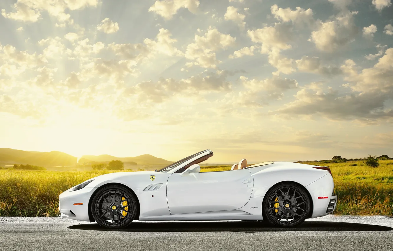 Фото обои поле, небо, солнце, белая, Ferrari, white, феррари, блик
