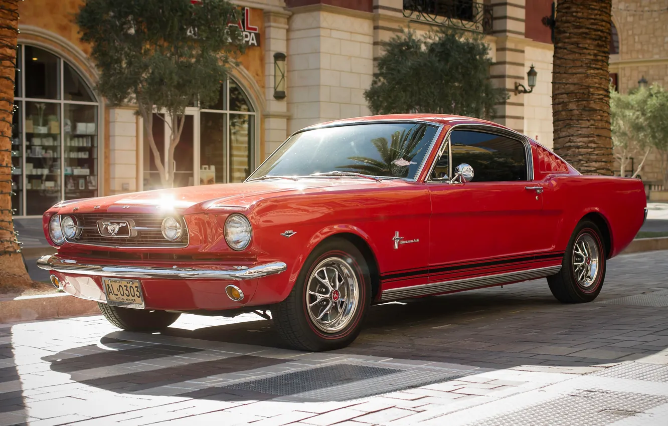 Фото обои красный, Mustang, Ford, классика, передок, Мускул кар