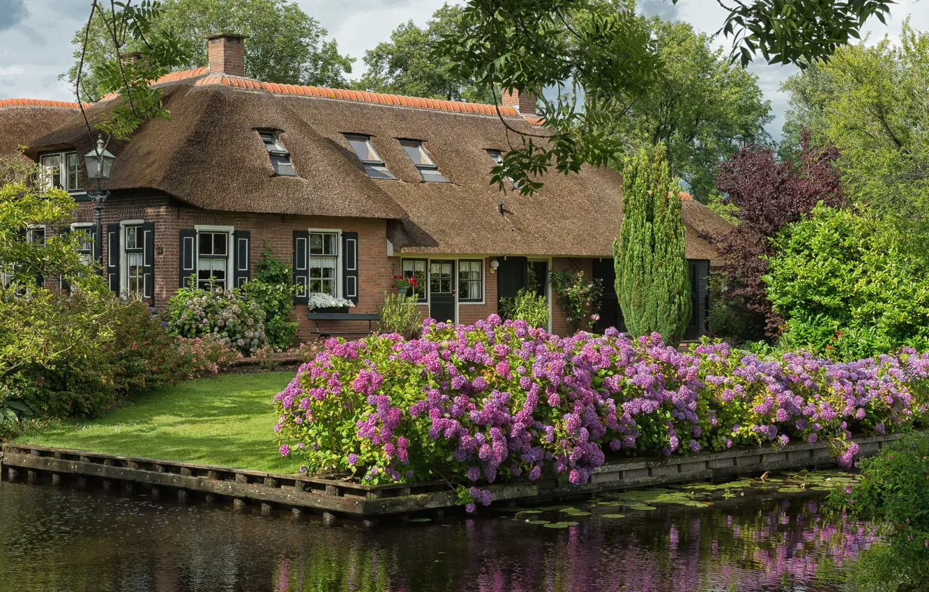 Фото обои дизайн, дом, канал, Нидерланды, Голландия, озеленение