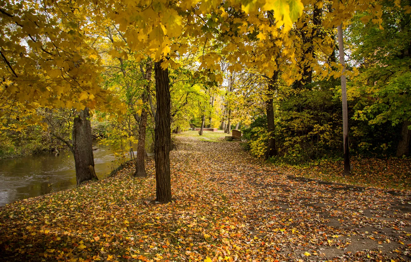 Фото обои осень, листья, деревья, пруд, парк, скамья